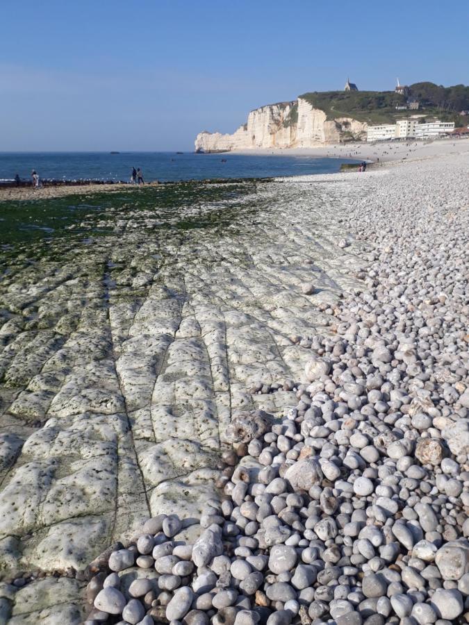 "L'Aiguille Creuse" - Tres Lumineux A 50M De La Mer - 40M2 - 6Max Ετρετά Εξωτερικό φωτογραφία